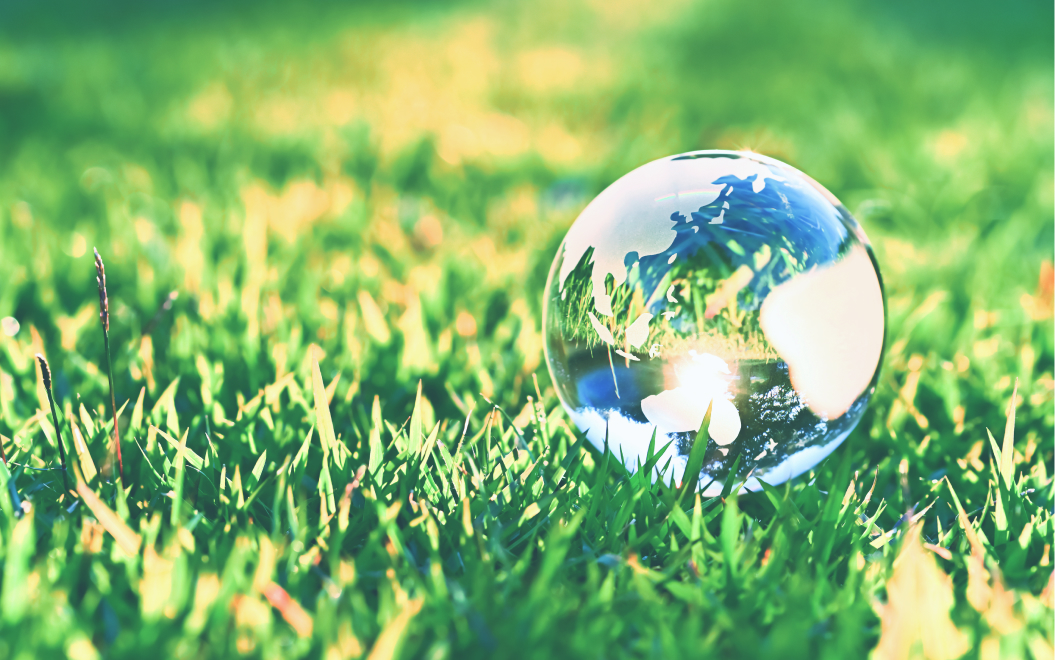 環境への取り組み